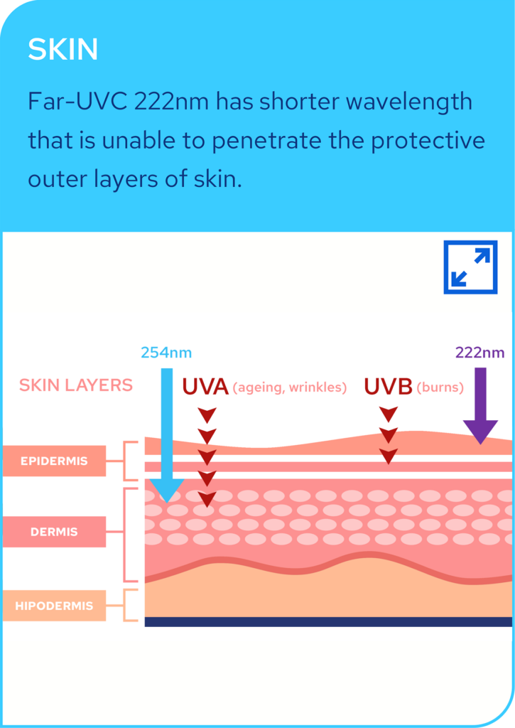 Far UV-C Light for Continuous Disinfection | Eden Park